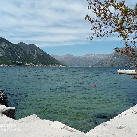 Apartman Milena 1 Kotor Zewnętrze zdjęcie